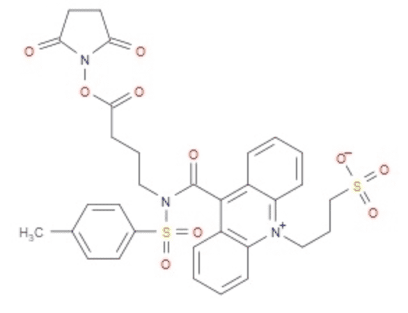199293-83-9,Nsp Sa Nhs,Chemiluminescent Agent