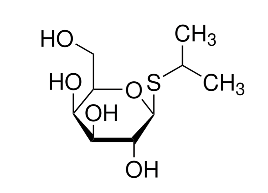 367-93-1,Isopropyl-Beta-D-Thiogalactopyranoside,Iptg